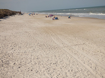 12 Merrit island National wildlife refuge - Spiaggia nel Canaveral national seashore