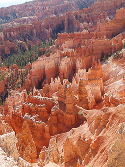 43 Bryce Canyon - Bryce point