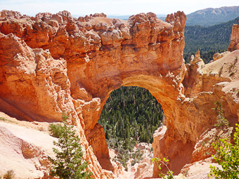 46 Bryce Canyon - Natural Bridge